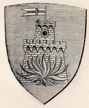 Arms (crest) of Castel Focognano