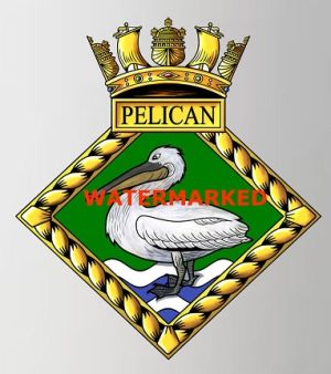 HMS Pelican, Royal Navy.jpg