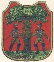 Arms (crest) of Rokytnice v Orlických horách