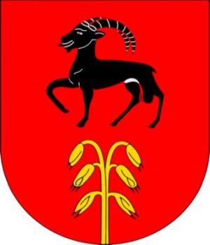 Coat of arms (crest) of Bidogno