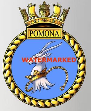 HMS Pomona, Royal Navy.jpg