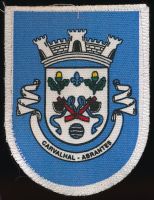 Brasão de Carvalhal/Arms (crest) of Carvalhal