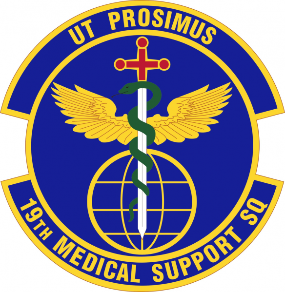 File:19th Medical Support Squadron, US Air Force.png