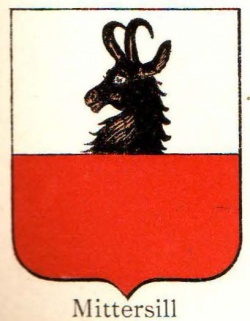 Wappen von Mittersill/Coat of arms (crest) of Mittersill