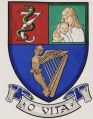 Royal College of Physicians of Ireland - Institute of Obstetricians and Gynaecologists.jpg