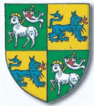 Arms of Ulrik Geniets