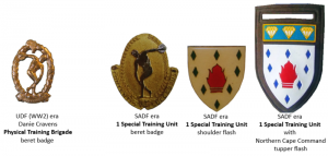 1 Special Training Unit, South African Army.png