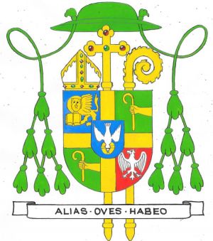 Arms of Thomas Francis Cusack