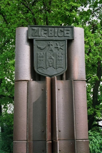 Arms of Ziębice