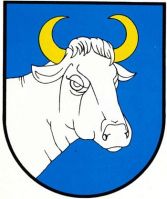 Arms (crest) of Człuchów