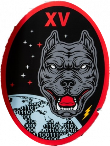 Coat of arms (crest) of the 15th Cyberspace Squadron, US Space Force