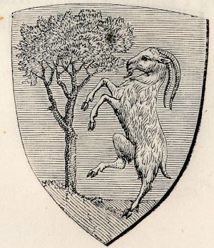 Arms (crest) of Caprese Michelangelo