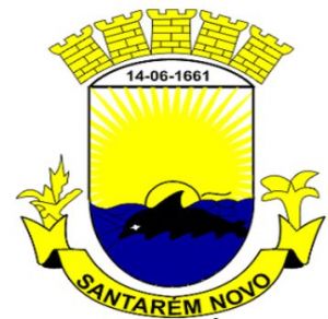 Brasão de Santarém Novo/Arms (crest) of Santarém Novo