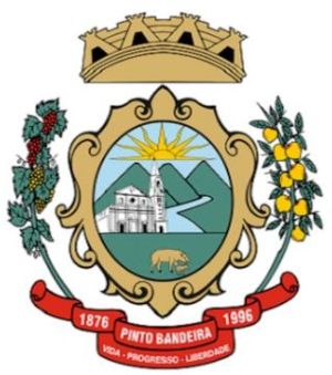 Brasão de Pinto Bandeira/Arms (crest) of Pinto Bandeira
