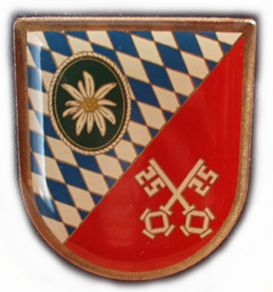 File:Mountain Logistic Regiment 8, German Army.png