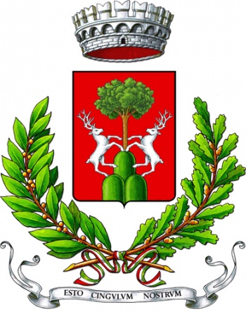 Stemma di Cingoli/Arms (crest) of Cingoli
