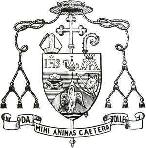 Arms of Domingos da Silva Gonçalves