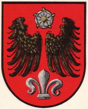 Arms of Žalec